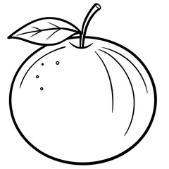 Citrus Fruit Outline Vector