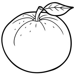 Citrus Fruit Outline Vector