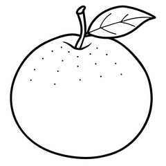 Citrus Fruit Outline Vector