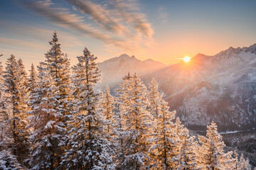 Snowy Trees and Mountain Sunrise