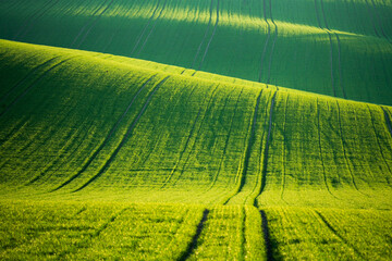 Green Field with Rolling Hills