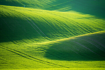 Rolling Green Hills with Shadows