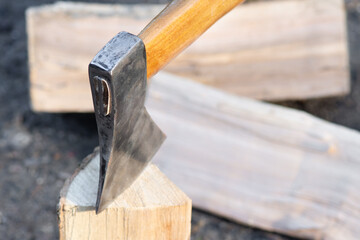 Chopping and Harvesting of firewood with axe. A tool for chopping, isolated on white background. Harvesting firewood.
