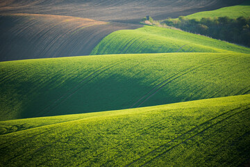 Rolling Hills with Green and Brown Fields