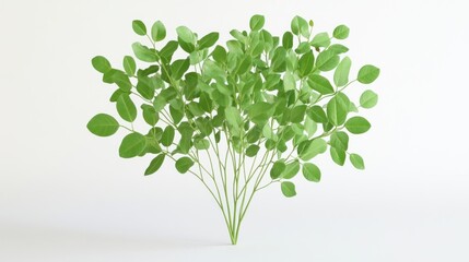 A bunch of vibrant green leaves arranged in a dense cluster against a plain white background