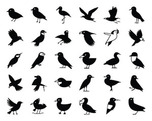set of birds