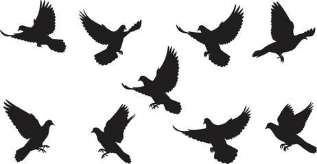 Flying bird silhouette collection, black pigeon illustration, bird in motion, wings spread, isolated on white background, freedom, wildlife, nature