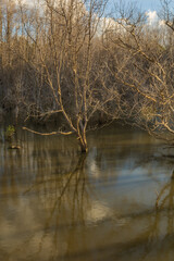 Sumba, Indonesia – 07. 07. 2025 – Not far from Waingapu city center, the dried-up mangrove...