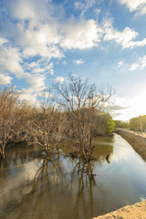 Sumba, Indonesia – 07. 07. 2025 – Not far from Waingapu city center, the dried-up mangrove...