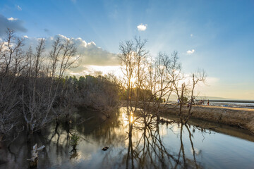 Sumba, Indonesia – 07. 07. 2025 – Not far from Waingapu city center, the dried-up mangrove trees look beautiful bathed in the late afternoon sun, their shadows reflected on the seawater