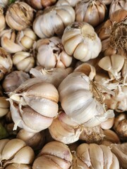 Close-up view of many garlic bulbs.