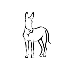 Elegant Line Art Donkey Illustration Simple Minimalist Design