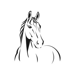 Elegant Horse Head Line Art Vector Illustration Design