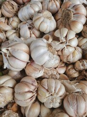 Close up of many garlic bulbs.
