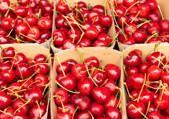 cherries in eco-friendly paper boxes for sale.