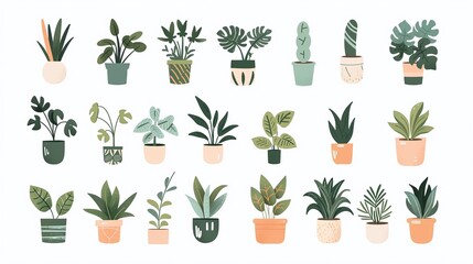 Assorted Indoor Plants in Decorative Pots &ndash; Flat Botanical Collection