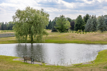 A peaceful pond at a lavender farm in Southern Ontario provides a serene and picturesque rural escape.