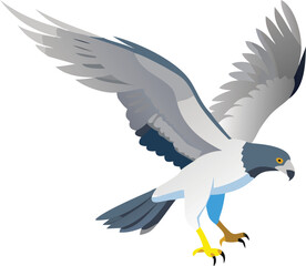 Naklejka premium Northern goshawk in powerful pursuit, wings beating, raptor, forest, strong, illustration