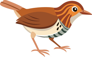 Ovenbird walking confidently on forest floor, camouflaged, songbird, woodland, illustration