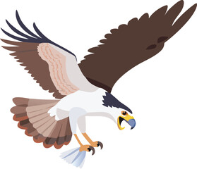 Fototapeta premium Osprey flying with large fish, clutched firmly, raptor, fishing, majestic, illustration