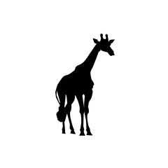  Logo żyrafy – wektorowa grafika © Laura