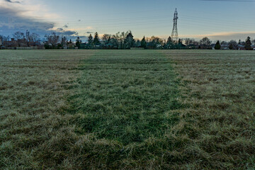 Electrical power grid and trees in the distance viewed from a grass field at dusk