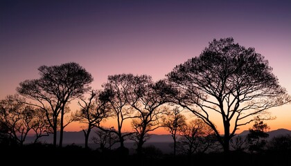 Obraz premium silhouetted trees against a gradient landscape during dusk in a serene natural setting