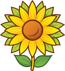 sunflower isolated on white