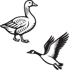 Set of Goose
