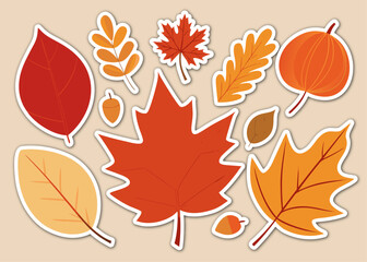 Obraz premium Autumnal Array A Collection of Fall Leaves and Acorns in Warm Tones on a Beige Background collection