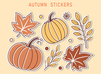 Autumnal Arrangement of Pumpkins Leaves and Branches in Muted Earth Tones Perfect for Seasonal Designs and Creative Projects