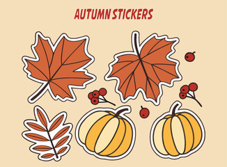 Autumnal Sticker Sheet Featuring Pumpkins Maple Leaves Rowan Berries and a Branch with Elongated Leaves on a White Background