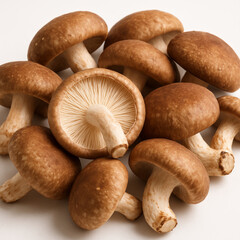Shiitake mushroom