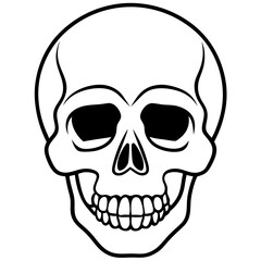 Minimal Skull Line Illustration