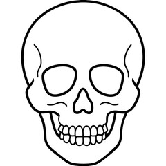 Minimal Skull Line Illustration