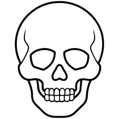 Obraz premium Minimal Skull Line Illustration