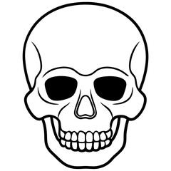 Minimal Skull Line Illustration
