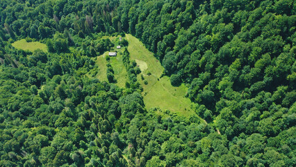 A top-down aerial view of a forest glade among mixed green forest on a summer day.