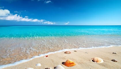 Obraz premium beautiful sandy beach with seashells clear blue water and sunny sky on vibrant summer day
