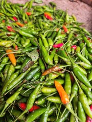 Close up of various fresh chili peppers.