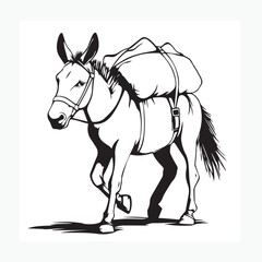 vector illustration of a donkey