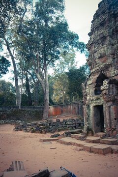 Ancient temple ruins with moss-covered stone walls and scattered blocks, set against a backdrop of tall trees and a peaceful forest clearing. Tranquil and timeless atmosphere.