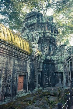 Moss-covered temple wall with intricate stone carvings and statues. Ancient reliefs depict celestial figures, surrounded by jungle trees and creeping roots under soft natural light.