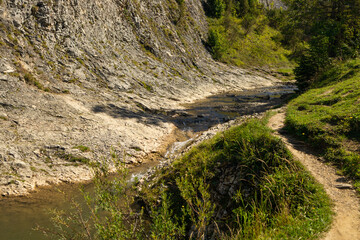 Clear mountain stream gently flowing through a rocky forest valley under a blue summer sky. Surrounded by trees and cliffs, this tranquil nature scene is ideal for themes of eco-tourism, outdoor