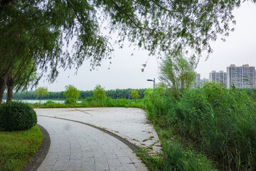 The sidewalks, plants, and floating lotus leaves on the riverbanks of urban parks