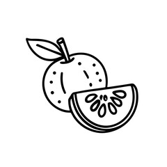 Obraz premium Line art drawing of a whole orange and a slice, showcasing citrus fruit detail.