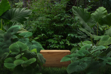 Wood podium stand in tropical forest nature background.natural product pedestal wooden modern stage...