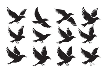 Obraz premium Collection of black bird silhouettes in various flying poses