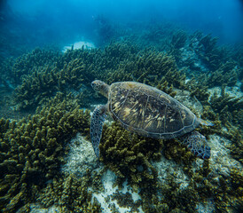 C:\DCIM\100GOPRO\GOPR0141.GPR