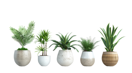 A row of potted plants with different sizes and shapes. The plants are arranged in a row, with the tallest one in the middle and the shortest one on the far right. The plants are of various types